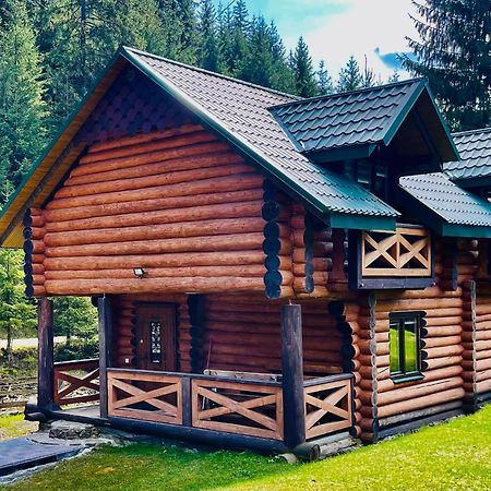 У Віти Котедж4 Synevyrsʼka Polyana Eksteriør bilde